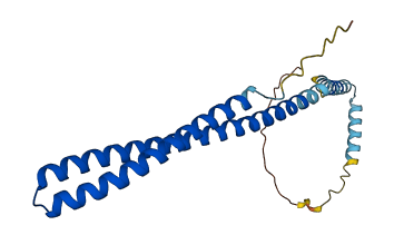 CHMP6 3D structure