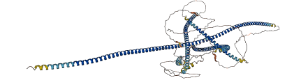 BICD1 3D structure