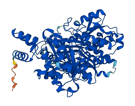 PGM2 3D structure