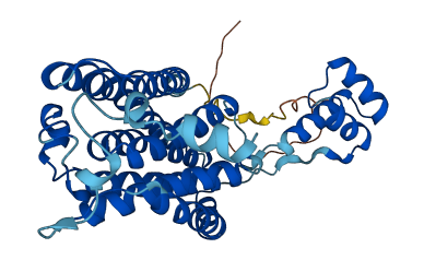CERS2 3D structure