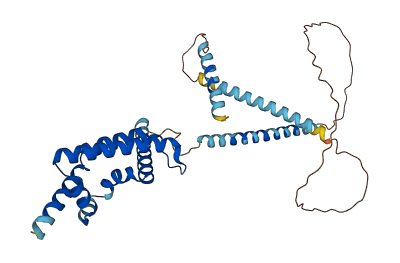 CFAP36 3D structure