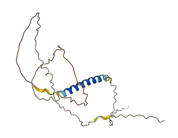 MRAP2 3D structure