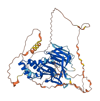 KLHDC7B 3D structure
