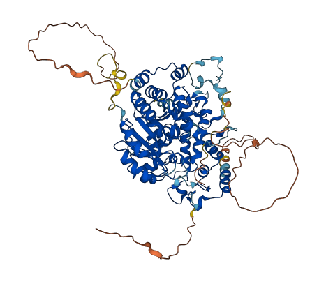 DUS3L 3D structure