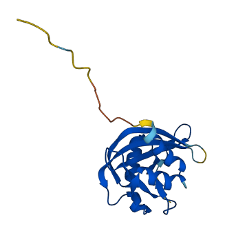 NUDT11 3D structure