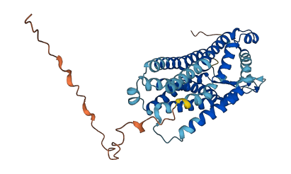 P2RY11 3D structure