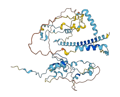 LTV1 3D structure