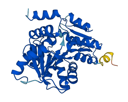 SDSL 3D structure