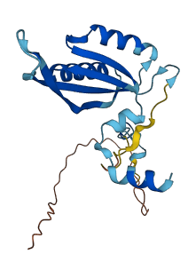 MRPL48 3D structure