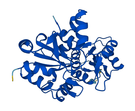 PDXP 3D structure