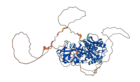 SCMH1 3D structure