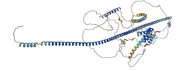 CEP95 3D structure