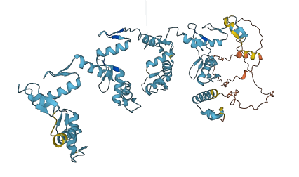 ZNF799 3D structure