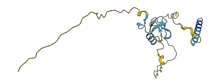 RNF185 3D structure