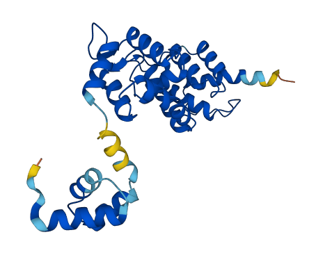 DCUN1D1 3D structure