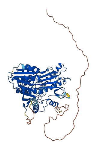 TRMT2B 3D structure