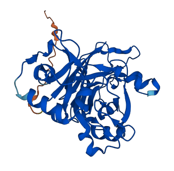 FAHD2A 3D structure