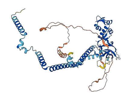 SMARCD1 3D structure