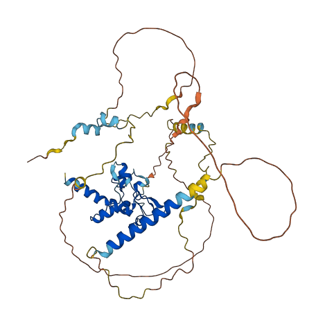 CDCA7L 3D structure