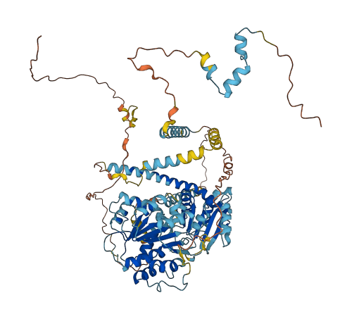 DDX27 3D structure