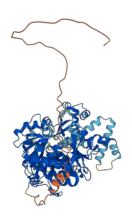 ACSBG1 3D structure