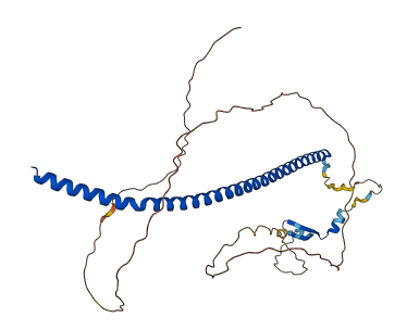 BORCS6 3D structure
