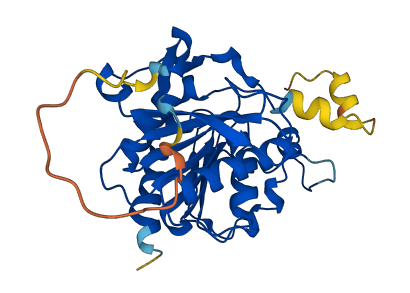 ABHD17A 3D structure