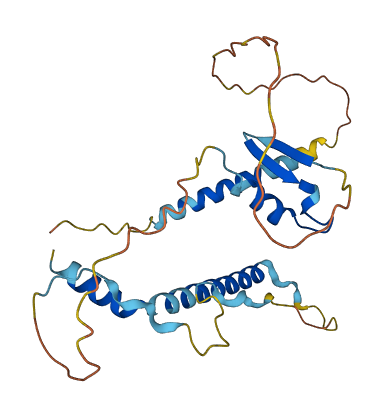 LIN37 3D structure