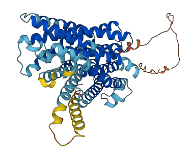 SLC41A3 3D structure