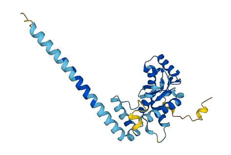 SNF8 3D structure