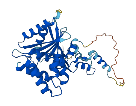 CENPN 3D structure