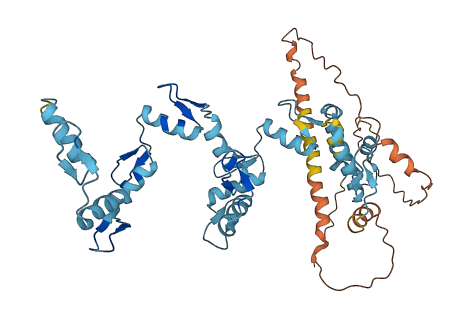 ZNF486 3D structure