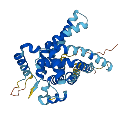 SLC25A44 3D structure