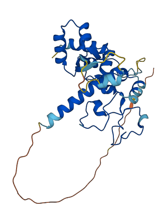 ZC3HAV1L 3D structure