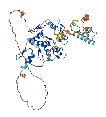 ZNF764 3D structure