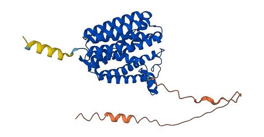 COQ2 3D structure