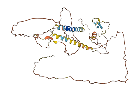 C1orf159 3D structure
