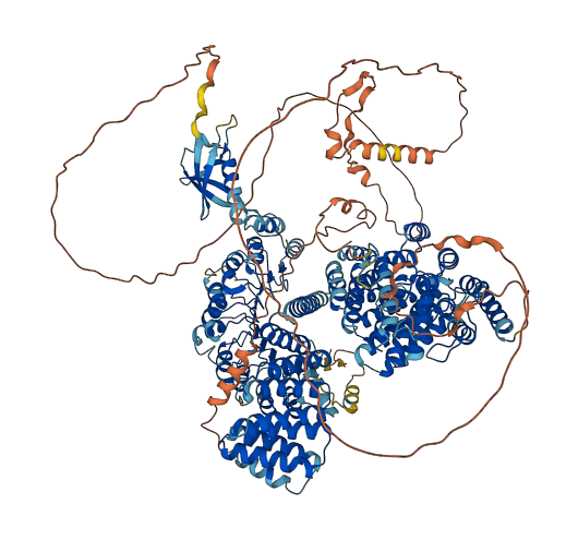 TONSL 3D structure