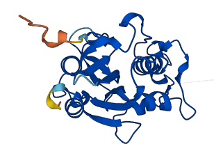 WDYHV1 3D structure