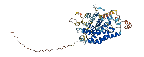 ERO1A 3D structure