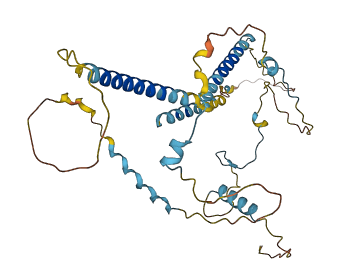 PRR11 3D structure