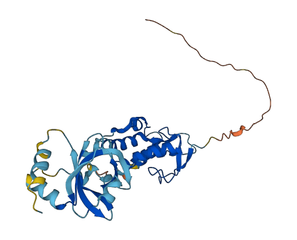 SFRP2 3D structure