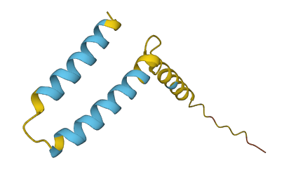 SMIM10 3D structure