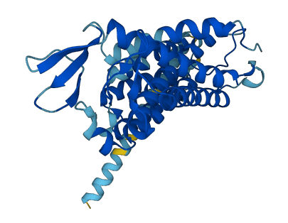 TMEM19 3D structure