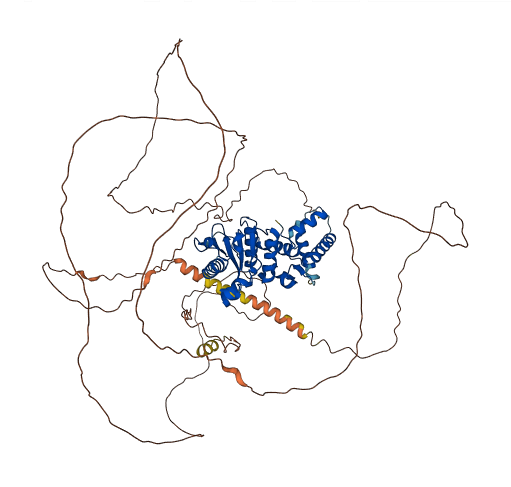 SENP5 3D structure
