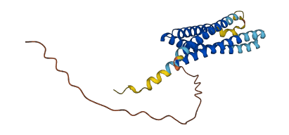 MS4A3 3D structure