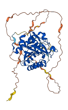 PCED1B 3D structure