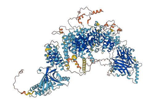 DOCK6 3D structure