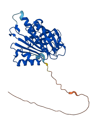 OXNAD1 3D structure