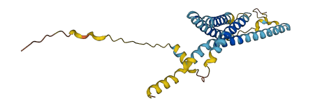 TMEM176A 3D structure